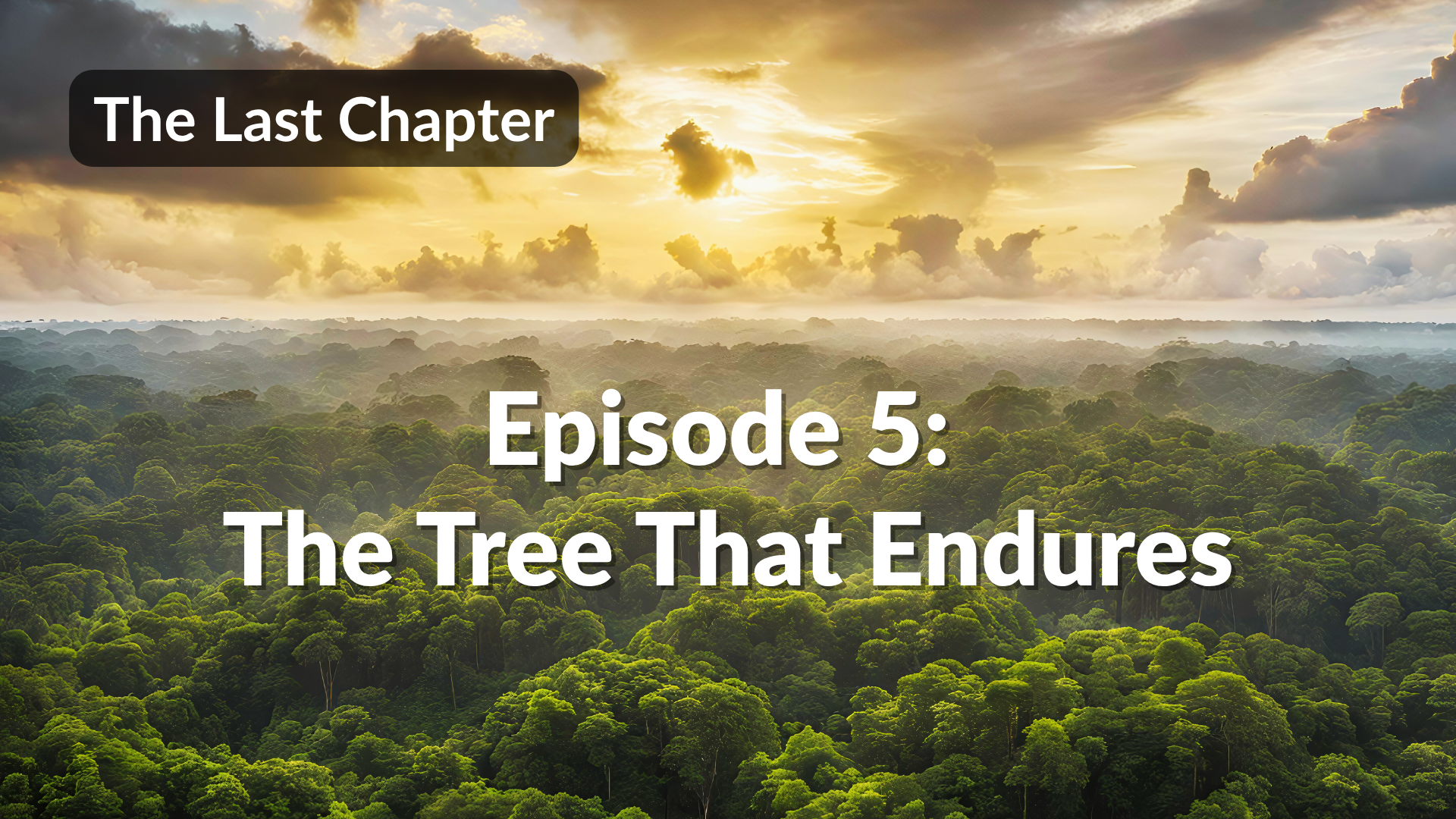 Episode 5: The Tree That Endures